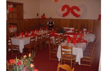 Пансіонат Sighetu Marmaţiei 3